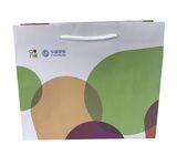 Colorful Resealable Custom Gift Bags For Business Eco - Friendly Design
