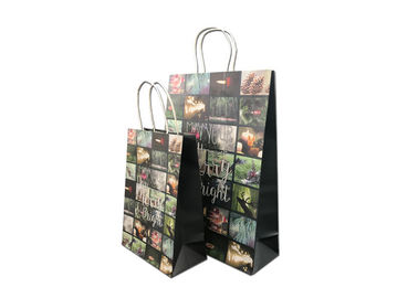 Decorative Luxury Christmas Packaging , Fancy Printed Paper Shopping Bags