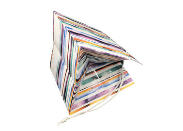Elegant Foldable Printed Promotional Paper Bags Customized Logo Printing