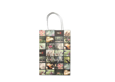 Decorative Luxury Christmas Packaging , Fancy Printed Paper Shopping Bags