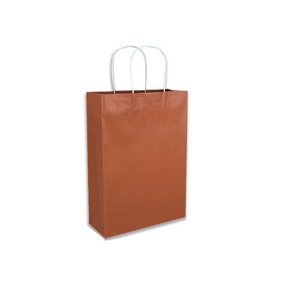 CMYK 300gsm Gift Paper Shopping Bags OEM Pantone